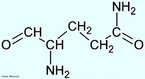 Glutamina (Gln)