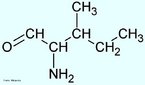 Isoleucina