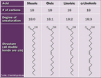 Representao estrutural de ismeros planos de cidos graxos com 18 carbonos (cidos: esterico, oleico, linoleico e a-linoleico).  <br/><br/> Palavras-chave: Isomeria Plana. cidos graxos. Qumica orgnica. Representao molecular.