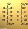 Representao das molculas dos ismeros glicose e frutose. Isomerismo ou Isomeria ("iso" = "mesmo" , "meros" = "partes")  o fenmeno caracterizado pela existncia de duas ou mais substncias que apresentam frmulas moleculares idnticas, mas que diferem em suas frmulas estruturais. Por exemplo: Etanol e Metoximetano possuem a mesma frmula (C2H6O). O estudo da isomeria  dividido em duas partes: Isomeria plana - o fenmeno pode ser percebido pela simples anlise da frmula estrutural plana; Isomeria espacial (Esteroisomeria) - neste caso, a isomeria s  perceptvel por meio da anlise da frmula estrutural espacial. A isomeria espacial  dividida em duas partes: a isomeria geomtrica (cis-trans ou Z-E) e a isomeria ptica. <br/><br/> Palavras-chave: Isomeria. Glicose. Frutose. Qumica do carbono. Molculas.