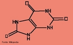 Representao da molcula de cido rico. O cido rico  um composto orgnico de carbono, nitrognio, oxignio e hidrognio. Sua frmula qumica  C5H4N4O3. O cido rico  encontrado na urina em pequenas quantidades (o produto de excreo principal  a ureia). Em alguns animais, como aves e rpteis  o principal produto de eliminao, e  expulso com as fezes. O alto teor de nitrognio no cido rico  a razo pelo qual o guano  to valioso como fertilizante na agricultura. No sangue humano, a concentrao de cido rico entre 3,5 e 7,2 mg/dL  considerada normal pela Associao Mdica Americana, podendo ser encontrado em nveis mais baixos nos vegetarianos. A gota  uma denominao associada a nveis anormais de cido rico no organismo. A saturao de cido rico no sangue humano pode dar lugar a um tipo de clculo renal quando o cido cristaliza nos rins. Uma considervel percentagem de enfermos com gota chegam a ter clculos renais do tipo rico. <br/><br/> Palavras-chave: cido rico . Molcula. Funes orgnicas.