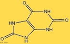 Representao da molcula de cido rico. O cido rico  um composto orgnico de carbono, nitrognio, oxignio e hidrognio. Sua frmula qumica  C5H4N4O3. O cido rico  encontrado na urina em pequenas quantidades (o produto de excreo principal  a ureia). Em alguns animais, como aves e rpteis  o principal produto de eliminao, e  expulso com as fezes. O alto teor de nitrognio no cido rico  a razo pelo qual o guano  to valioso como fertilizante na agricultura. No sangue humano, a concentrao de cido rico entre 3,5 e 7,2 mg/dL  considerada normal pela Associao Mdica Americana, podendo ser encontrado em nveis mais baixos nos vegetarianos. A gota  uma denominao associada a nveis anormais de cido rico no organismo. A saturao de cido rico no sangue humano pode dar lugar a um tipo de clculo renal quando o cido cristaliza nos rins. Uma considervel percentagem de enfermos com gota chegam a ter clculos renais do tipo rico. <br/><br/> Palavras-chave: cido rico. Molcula. Funes orgnicas.