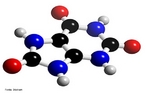 Representação da molécula de ácido úrico em 3D. O ácido úrico é um composto orgânico de carbono, nitrogênio, oxigênio e hidrogênio. Sua fórmula química é C5H4N4O3. O ácido úrico é encontrado na urina em pequenas quantidades (o produto de excreção principal é a ureia). Em alguns animais, como aves e répteis é o principal produto de eliminação, e é expulso com as fezes. O alto teor de nitrogênio no ácido úrico é a razão pelo qual o guano é tão valioso como fertilizante na agricultura. No sangue humano, a concentração de ácido úrico entre 3,5 e 7,2 mg/dL é considerada normal pela Associação Médica Americana, podendo ser encontrado em níveis mais baixos nos vegetarianos. A gota é uma denominação associada a níveis anormais de ácido úrico no organismo. A saturação de ácido úrico no sangue humano pode dar lugar a um tipo de cálculo renal quando o ácido cristaliza nos rins. Uma considerável percentagem de enfermos com gota chegam a ter cálculos renais do tipo úrico. <br/><br/> Palavras-chave: Ácido úrico. Molécula. Funções orgânicas.