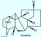 A aconitina (acetilbenzoilaconina)  um dos alcaloides mais venenosos que se conhece.  o alcaloide mais abundante do Aconitum napellus L. (99% dos alcaloides totais) e as suas propriedades farmacolgicas e medicinais so conhecidas desde 1833.  um dister formado por cido actico e cido benzoico e pela base aconina (alcamina nor-diterpnica penta-hidroxilada).  muito txica e a dose letal para o adulto situa-se entre 3 a 6 mg. A aconitina atua como um veneno muito rpido, causando um abrandamento do ritmo cardaco e um abaixamento da presso sangunea. A absoro atravs da pele pode ser fatal e as floristas que manipulam o A.napellus L. podem sofrer envenenamento. Frmula Molecular: (C34H47NO11). Massa Molar=645,75. <br/><br/> Palavras-chave: Aconitina. Alcaloides. Qumica orgnica. Toxicologia.