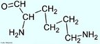 A lisina é um aminoácido ácido essencial, com uma carga geral positiva em nível de pH fisiológico, o que a torna um dos três aminoácidos básicos (em relação à sua carga). Este aminoácido polar é encontrado na superfície de enzimas e proteínas, e por vezes aparece nas porções ativas. É essencial para o crescimento normal de crianças a para a manutenção do equilíbrio do nitrogênio no adulto. Fontes de lisina incluem carnes, peixe, frango e laticínios. A lisina representa cerca de 8% dos aminoácidos das proteínas do nosso organismo.  Nome IUPAC: ácido 2,6-diaminohexanoico. Abreviatura (Lys). <br/><br/> Palavras-chave: Lisina. Aminoácidos. Química orgânica. Bioquímica.