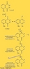 Representao da reao com luminol. Luminol  uma substncia qumica criada em 1928 por H. O. Albrecht.  um produto que  preparado misturando-se o luminol propriamente dito, com uma substncia  base de perxido de Hidrognio ( gua oxigenada), que reage muito lentamente. Quando essa mistura entra em contato com o sangue humano, utiliza o ferro presente na hemoglobina como agente catalisador causando uma reao de quimiluminescncia. Muito utilizado pela polcia cientfica, quando necessita saber se h vestgios de sangue em roupas, objetos ou lugares.  <br/><br/> Palavras-chave: Luminol. Reao qumica.