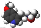 Representao da molcula de melatonina em 3D.  um hormnio produzido por diversos animais e plantas. Em animais superiores,  o produto de secreo da glndula pineal. Quimicamente,  uma indolamina sintetizada a partir do triptofano (aminocido essencial encontrado nas protenas) e, devido ao seu carter anfiflico, pode atravessar facilmente as membranas celulares por difuso. Em consequncia, a melatonina no  armazenada no interior do pinealcito e  imediatamente liberada dentro dos capilares sanguneos que irrigam a glndula pineal aps a sua formao. <br/><br/> Palavras-chave: Melatonina. Molcula. Antioxidante.