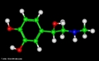 Representao tridimensional da molcula de Adrenalina ou Epinefrina. A adrenalina  uma hormnio, derivado da modificao de um aminocido aromtico (tirosina), secretado pelas glndulas supra-renais. Em momentos de "stress", as supra-renais secretam quantidades abundantes deste hormnio que prepara o organismo para grandes esforos fsicos, estimula o corao, eleva a tenso arterial, relaxa certos msculos e contrai outros.  chamada substncia das emoes fortes. Nomenclatura IUPAC: 4-[1-hidroxi-2-(metilamino)etil]benzeno-1,2-diol. Frumula molecular: C9H13NO3. Massa Molar: 183,204 g/mol.  utilizada tambm pela medicina em ressuscitaes no caso de parada cardaca ou para aumentar a durao de anestsicos locais devido ao seu efeito vasoconstrictor. <br/><br/> Palavras-chave: Molculas. Adrenalina. Epinefrina. Substncias qumicas. Medicamentos. Drogas.