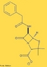 Representao da molcula de penicilina, que  um antibitico natural derivado de um fungo, o bolor do po Penicillium chrysogenum (ou P. notatum). <br/><br/> Palavras-chave: Penicilina. Antibitico. Bolor do po.