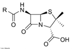 Representação da molécula de penicilina, que é um antibiótico natural derivado de um fungo, o bolor do pão Penicillium chrysogenum (ou P. notatum). <br/><br/> Palavras-chave: Penicilina. Antibiótico. Bolor do pão.