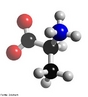 Representação em 3D de uma molécula de alanina. A alanina é o nome comum para o ácido 2-aminopropanóico. A alanina é um dos aminoácidos codificados pelo código genético, sendo portanto um dos componentes das proteínas dos seres vivos. É um aminoácido não essencial. Ambos os enantiômeros D-alanina e L-alanina ocorrem naturalmente, embora a D-alanina se encontre somente na parede celular de algumas bactérias. <br/><br/> Palavras-chave: Alanina. Aminoácido. Molécula.