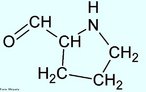 A prolina é um dos aminoácidos cíclicos alifáticos que são componentes primários da proteína colágeno, o tecido do conectivo que liga e sustenta todos os outros tecidos. A prolina tem uma cadeia lateral alifática, mas difere dos outros membros do conjunto dos vinte por sua cadeia lateral ser ligada tanto ao nitrogênio, quanto ao átomo de carbono. A resultante estrutura cíclica influencia fortemente na arquitetura das proteínas. A prolina é sintetizada a partir do ácido glutâmico, antes de sua incorporação em pró-colágeno, durante a tradução do RNA-mensageiro. Após a síntese da proteína pró-colágeno, ela é convertida em hidroxiprolina por uma modificação pós-tradução. A prolina representa cerca de 4% dos aminoácidos das proteínas do nosso organismo. Pão, leite, gelatina são ricos em prolina. Nome IUPAC: Ácido (S)-Pyrrolidine-2-carboxylic. Abreviatura (Pro). <br/><br/> Palavras-chave: Prolina. Aminoácidos. Química orgânica. Bioquímica.
