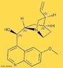 Quinina (fórmula química: C20H24N2O2) é um alcaloide de gosto amargo que tem funções antitérmicas, antimaláricas e analgésicas. É um Estereoisômero da quinidina. O sulfato de quinina é o quinino. É extraída da quina. <br/><br/> Palavras-chave: Quinina. Alcaloide. Estereoisômero da quinidina. Quinino.
