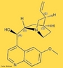 Quinina (frmula qumica: C20H24N2O2)  um alcaloide de gosto amargo que tem funes antitrmicas, antimalricas e analgsicas.  um Estereoismero da quinidina. O sulfato de quinina  o quinino.  extrada da quina. <br/><br/> Palavras-chave: Quinina. Alcaloide. Estereoismero da quinidina. Quinino.