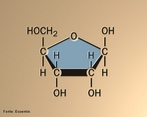 Representao de uma molcula de ribose que  o acar do RNA, enquanto que a molcula de desoxirribose  o acar do DNA. <br/><br/> Palavras-chave: Ribose. RNA. Acar.