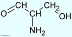 A cadeia lateral metil da serina contém um grupo hidroxila, caracterizando este aminoácido como um dos dois que também são álcoois. Pode ser considerada como um derivado hidroxilado da alanina. A serina possui um papel importante em uma variedade de caminhos biossintéticos, incluído os que envolvem pirimidinas, purinas, creatina e profirinas. A serina é encontrada também na porção ativa de uma importante classe de enzimas chamada de “proteases de serina”, que incluem a tripsina e a quimotripsina. Estas enzimas catalisam a hidrólise das ligações peptídicas em polipeptídios e proteínas, uma das principais funções do processo digestivo. A serina representa cerca de 4% dos aminoácidos das proteínas do nosso organismo. Arroz, ovos, leite são ricos em serina. Nome IUPAC: Ácido (S)-2-amino-3-hidroxipropanoico. Abreviatura (Ser). <br/><br/> Palavras-chave: Serina. Aminoácidos. Química orgânica. Bioquímica.