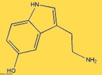 A serotonina  um neurotransmissor, isto , uma molcula envolvida na comunicao entre as clulas do crebro (neurnios). Ela  quimicamente representada pela 5-hidroxitriptamina (5-HT), sendo tambm frequentemente designada por este nome. <br/><br/> Palavras-chave: Serotonina.  5-HT. Neurotransmissor.