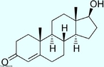 Testosterona