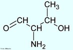A treonina é outro aminoácido contendo álcool que não pode ser produzido pelo organismo e precisa ser consumido na dieta. Este aminoácido desempenha um papel importante, junto com a glicina e a serina, no metabolismo de porfirina. A treonina representa cerca de 4% dos aminoácidos das proteínas do nosso organismo. Os ovos são ricos são ricos em treonina. Nome IUPAC: Ácido (2S,3R)-2-Amino-3-hydroxybutanoic. Abreviatura (Thr). <br/><br/> Palavras-chave: Treonina. Aminoácidos. Química orgânica. Bioquímica.