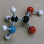 Imagem de um aminoácido que é uma molécula orgânica formada por átomos de carbono, hidrogênio, oxigênio, e nitrogênio unidos entre si de maneira característica. <br/><br/> Palavras-chave: Aminoácido. Molécula. Função orgânica.